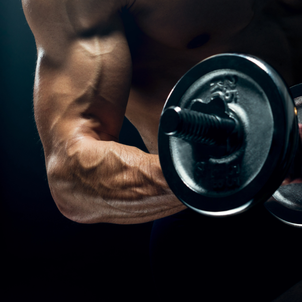 Diplomado Nutrición Deportiva Y Entrenamiento Personal.